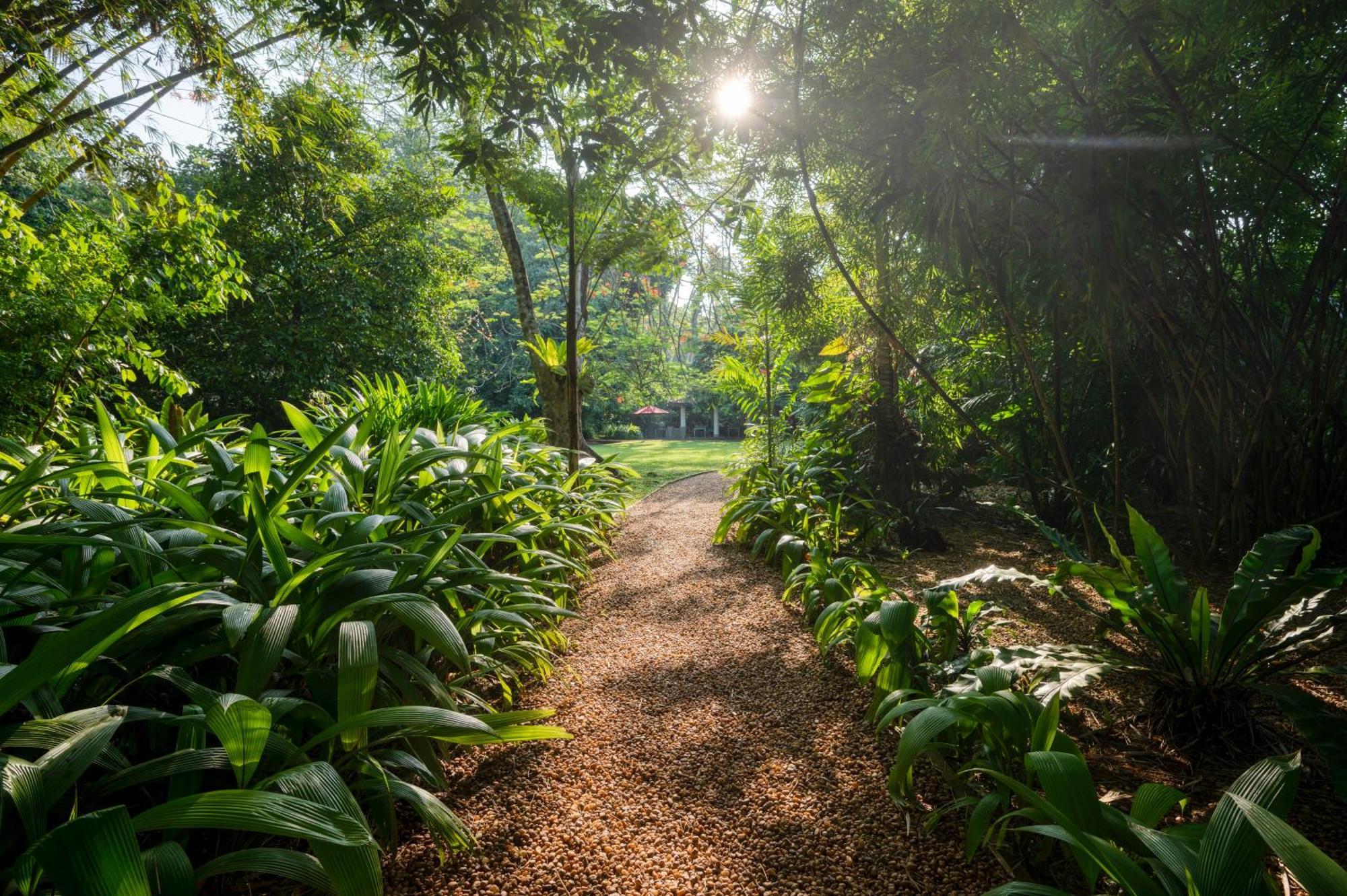 Wallawwa Katunayaka Luaran gambar